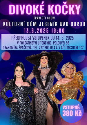 Divoké kočky - travesti show 1